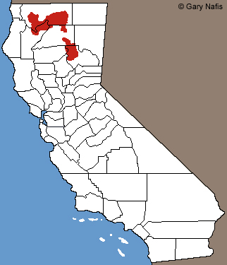 Cascades Frog California Range Map