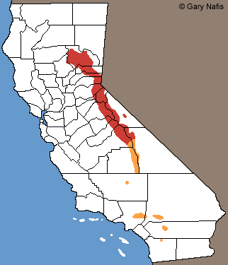 Sierra Nevada Yellow-legged Frog Range Map