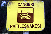 rattler sign