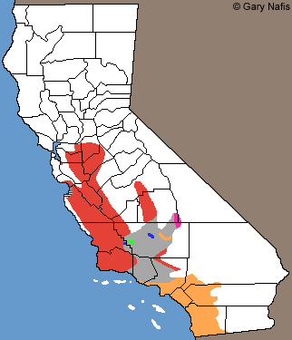 Legless Lizards California Range Map