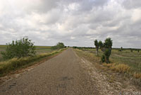 Texas Indigo Snake Habitat