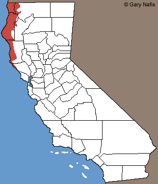 Northwestern Salamander CA Range Map