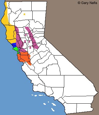 California Slender Salamander range map