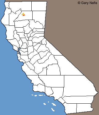 Shasta Salamander range map