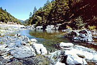 Sierra Gartersnake Habitat