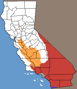 Coluber flagellum California Range Map