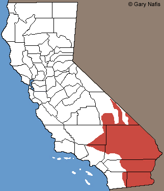Spotted Leaf-nosed Snake California Range Map