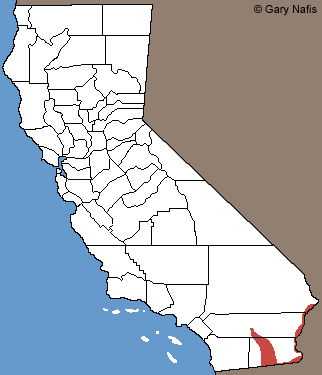 Marcy's Checkered Gartersnake California Range Map