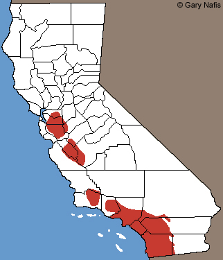 Western Black-headed Snake Range Map
