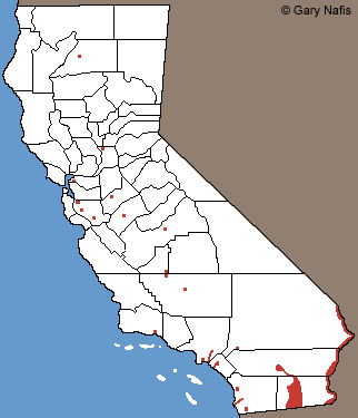 Texas Spiny Softshell locations in California
