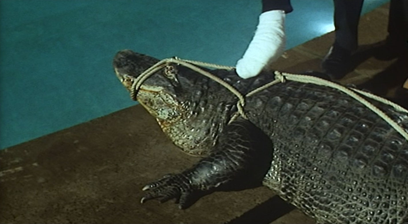 Alligators and Crocodiles In Movies