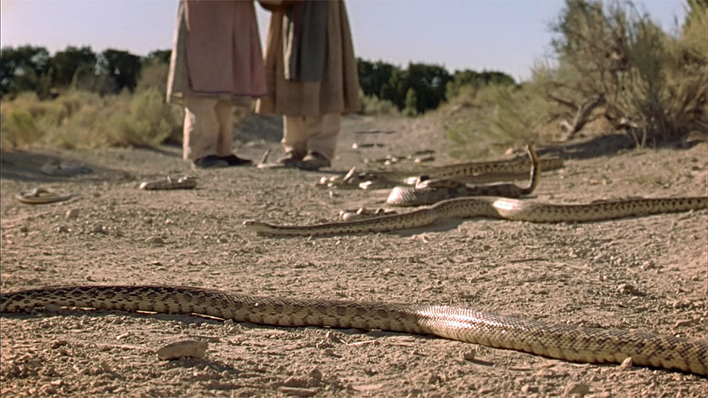 All Movie Snakes Want to Kill You!