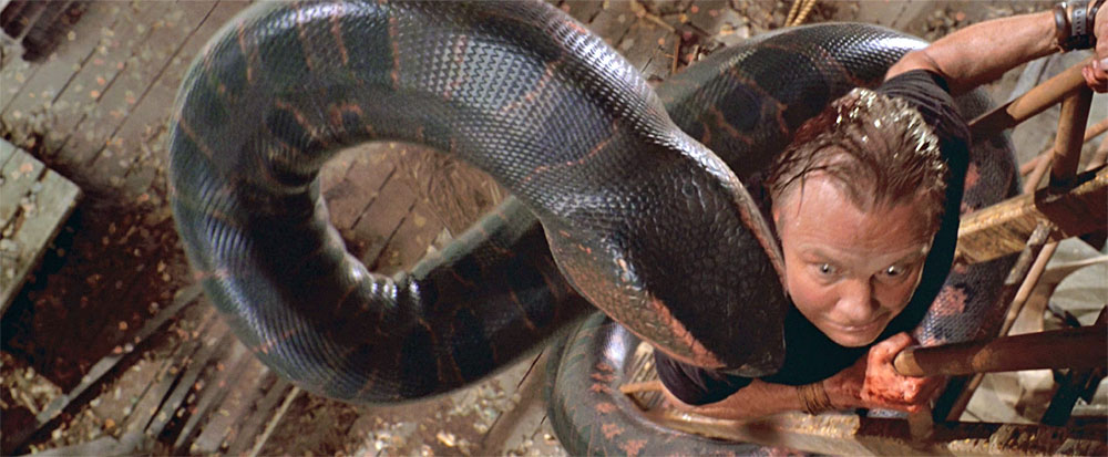 anaconda snake attacks baby