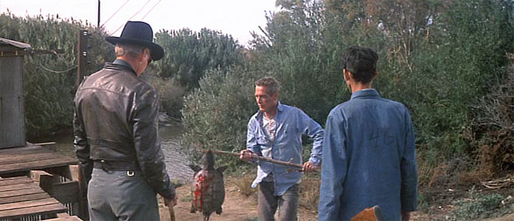 Cool Hand Luke 1967 