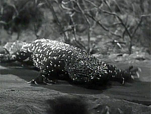 Giant Gila Monster