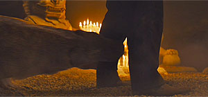 Skyfall Screenshot