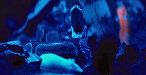 Freaky Tales Snake Screenshot