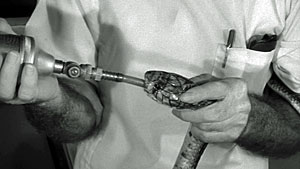 Snake Screenshot