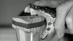 Snake Screenshot