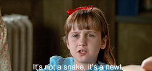 Salamander Screenshot