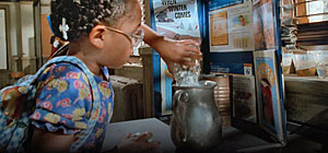 Salamander Screenshot