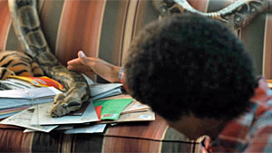 Michael Snake Screenshot