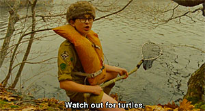 Moonrise Kingdom Turtle