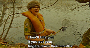 Moonrise Kingdom Turtle