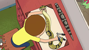 Rick And Morty Snakes Screenshot