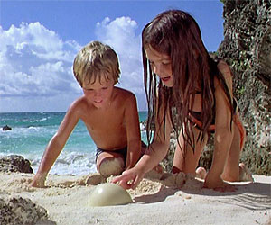 Turtle Screen Shot