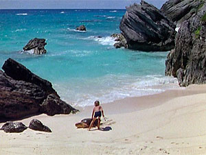 Turtle Screen Shot