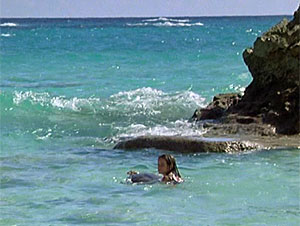 Turtle Screen Shot