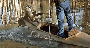 Crocodile Dundee