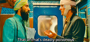 Darjeeling Limited Snake Screenshot