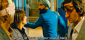 Darjeeling Limited Snake Screenshot