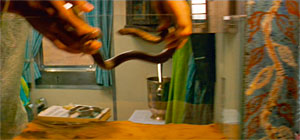 Darjeeling Limited Snake Screenshot