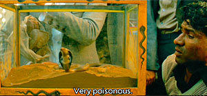 Darjeeling Limited Snake Screenshot
