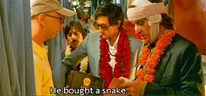 Darjeeling Limited Snake Screenshot
