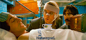 Darjeeling Limited Snake Screenshot
