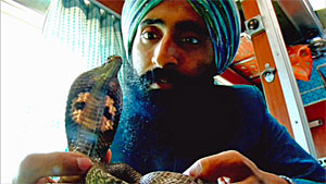 Darjeeling Limited Snake Screenshot
