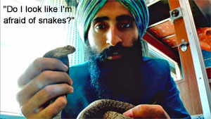 Darjeeling Limited Snake Screenshot