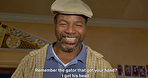 Alligator