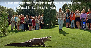 Alligator