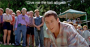 Alligator