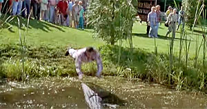 Alligator