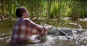 Alligator