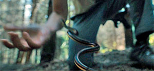 Snake Movie Screenshot