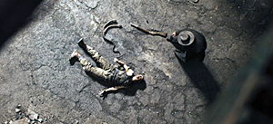 In The Lost Lands Snake