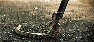 In The Lost Lands Snake