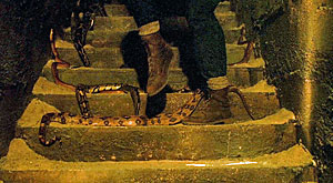 Snake Movie Screenshot